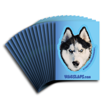 Tradable Sticker Stacks