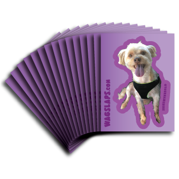 Tradable Sticker Stacks