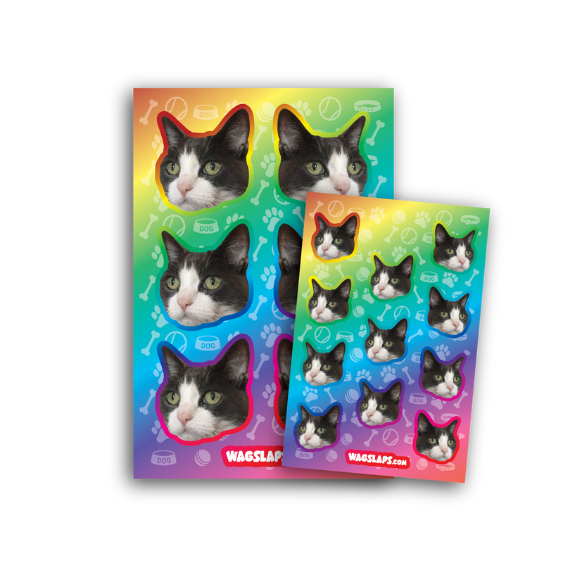Rainbow Pet Stickers