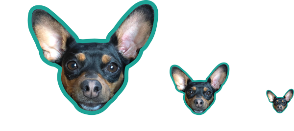 Large Custom Car Decal