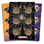 Spider Web Stickers