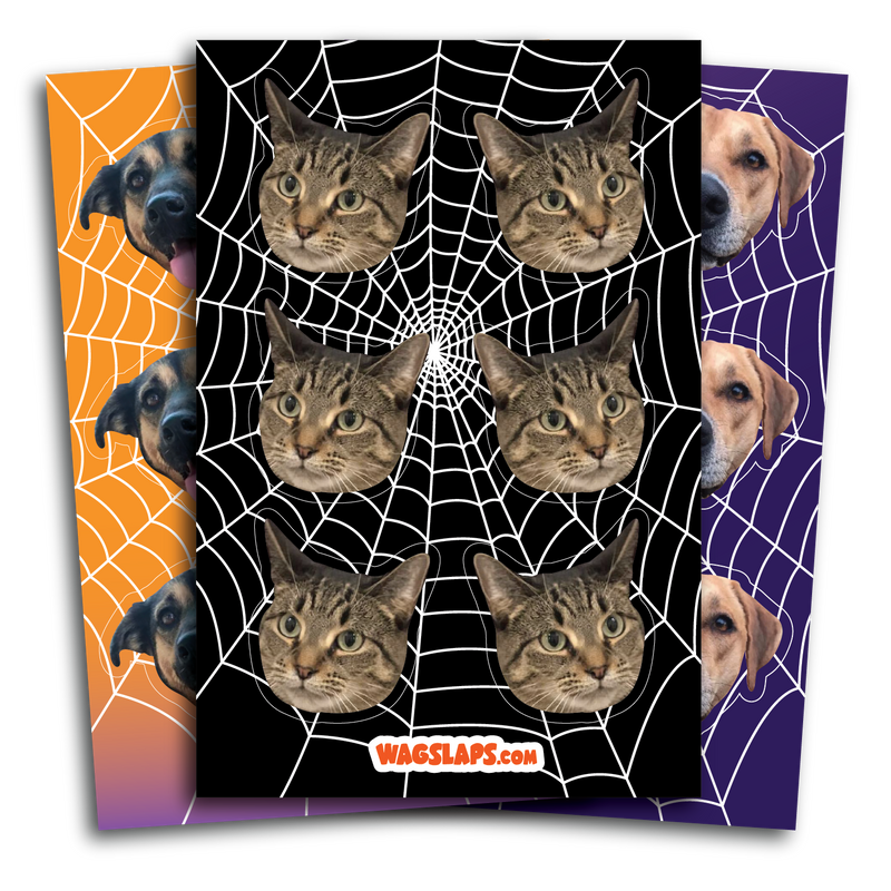 Spider Web Stickers