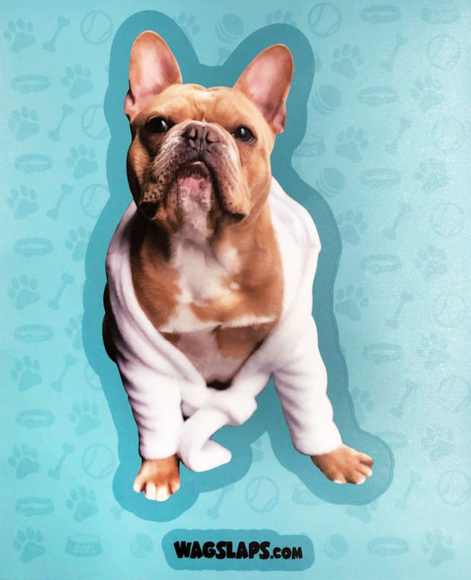 Large Custom Car Decal